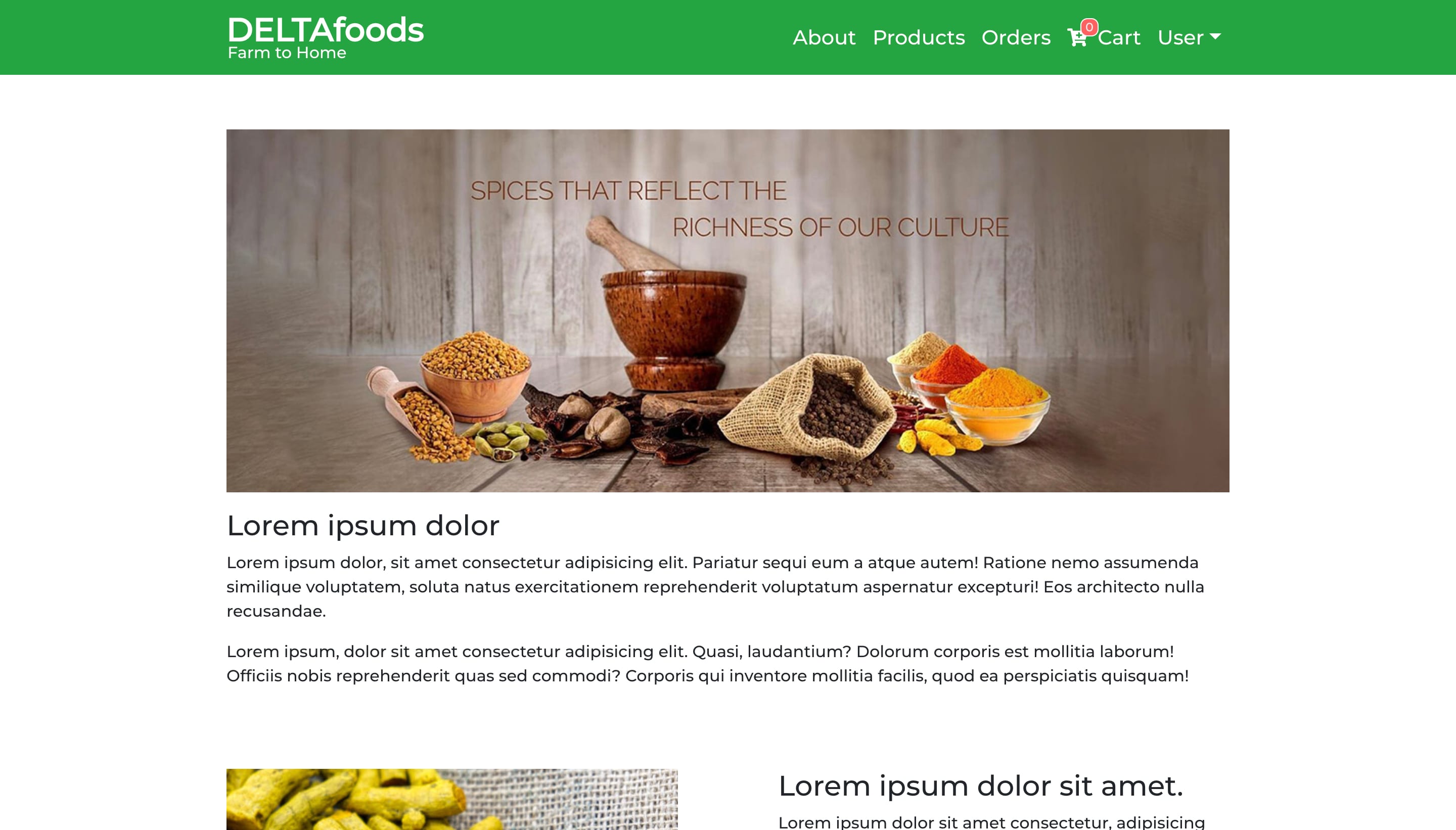 Delta Foods application interface